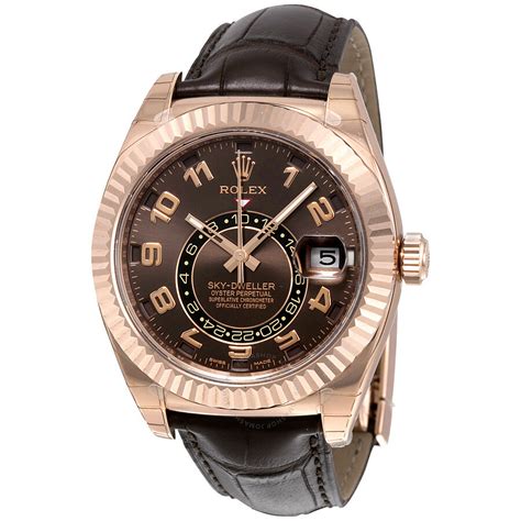 rolex men's watches skydweller brown|Rolex Sky-Dweller watch.